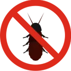 شركة مكافحة العته بجدة 