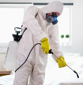 شركة رش حشرات بجدة