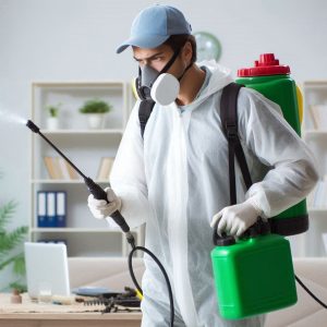 شركة مكافحة حشرات بجدة